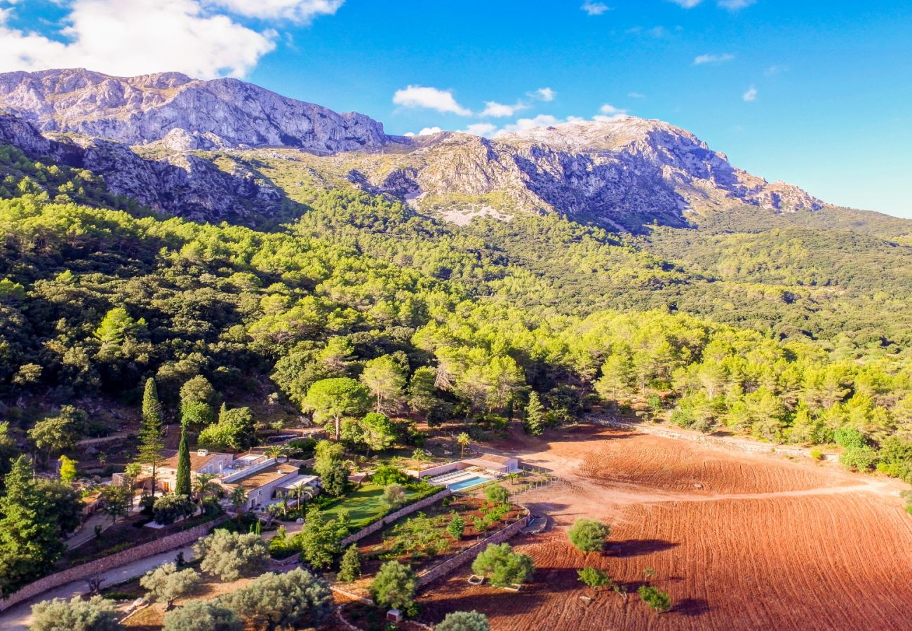 Finca in Pollensa / Pollença - Guillem Bet